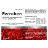 Ferroben by Bluecube | Hierro Bisglicinato de Alta Absorción con Vitamina C | Combate la Fatiga y Mejora la Hemoglobina