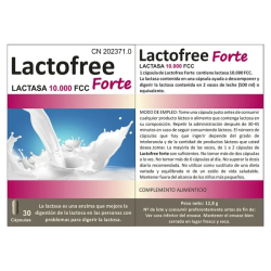 Lactofree Forte by Bluecube | Suplemento con Enzima Lactasa para Intolerancia a la Lactosa