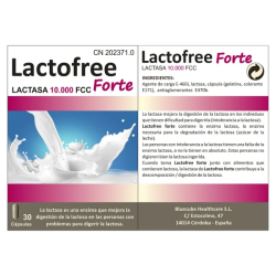 Lactofree Forte by Bluecube | Suplemento con Enzima Lactasa para Intolerancia a la Lactosa