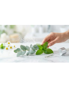 Productos para el aparato respiratorio