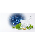 Memoria y Concentración