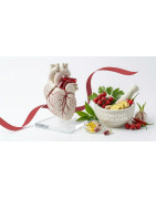 Corazón y sistema circulatorio